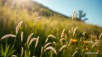 Discover the Magic of Small Straws in Wind