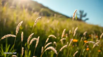 Discover the Magic of Small Straws in Wind